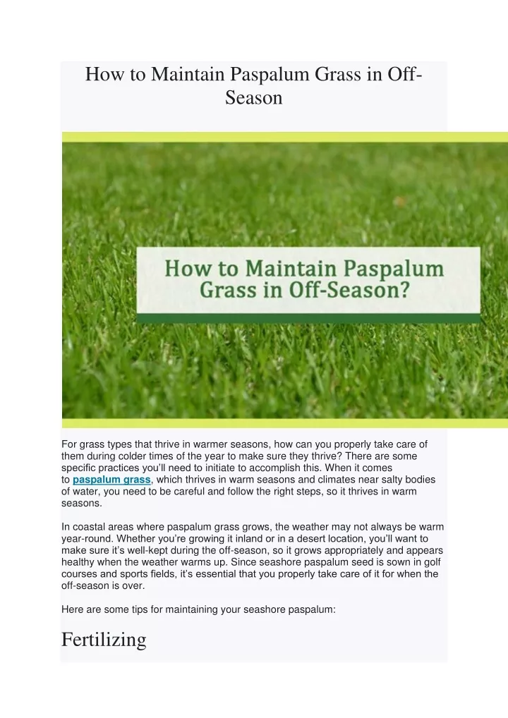 how to maintain paspalum grass in off season