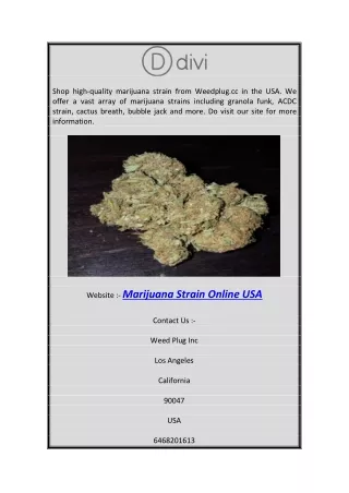 Marijuana Strain Online USA | Weedplug.cc