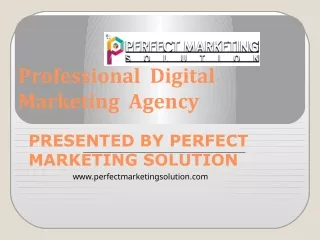 Digital Marketing Agency in the USA