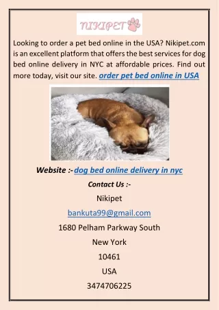 dog bed online delivery in nyc A