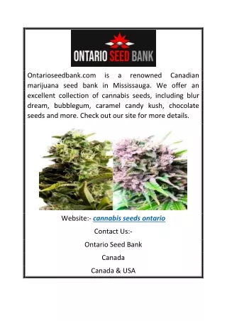 Cannabis Seeds Ontario | Ontarioseedbank.com