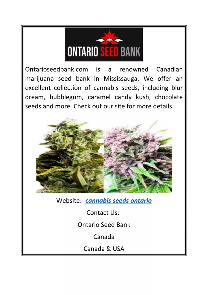 ontarioseedbank com marijuana seed bank