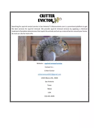 Squirrel Removal Service  Critterevictortx.com