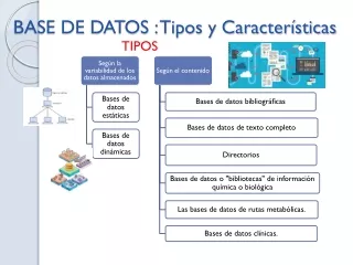 base de datos tipos y caracter sticas