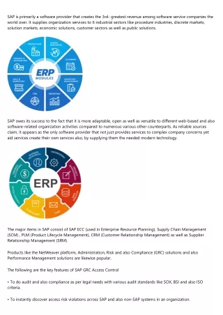 sap is primarily a software provider that creates