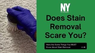 Does Stain Removal Scare You Melbourne? Here Are Some Things MUST Know About