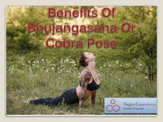 Benefits Of Bhujangasana Or Cobra Pose