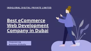 Best eCommerce Web Development Company in Dubai (2)