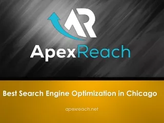 best search engine optimization in chicago