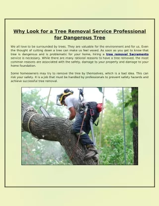 why look for a tree removal service professional
