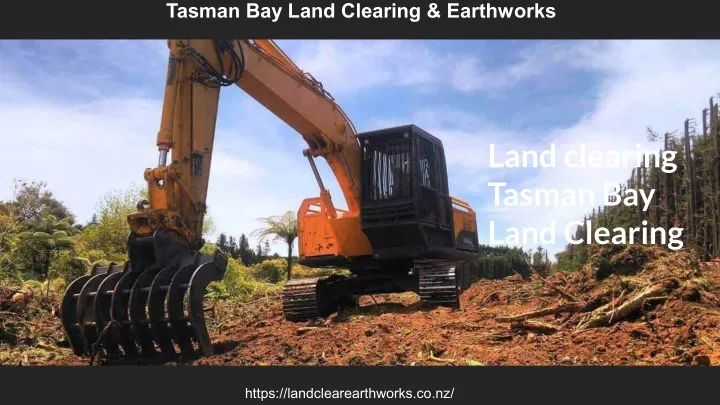 tasman bay land clearing earthworks