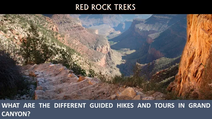 what are the different guided hikes and tours