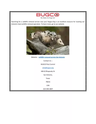 Wildlife Removal Service San Antonio Bugco.org