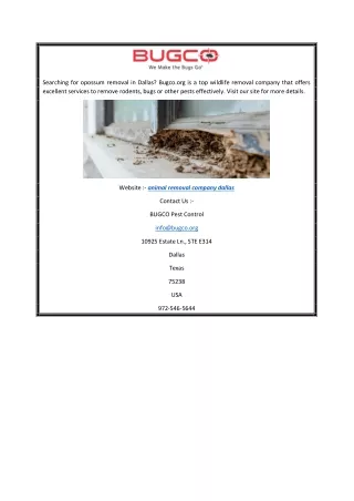 Animal Removal Company Dallas  Bugco.org
