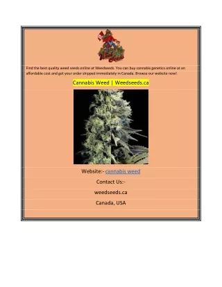 Cannabis Weed  Weedseeds.ca
