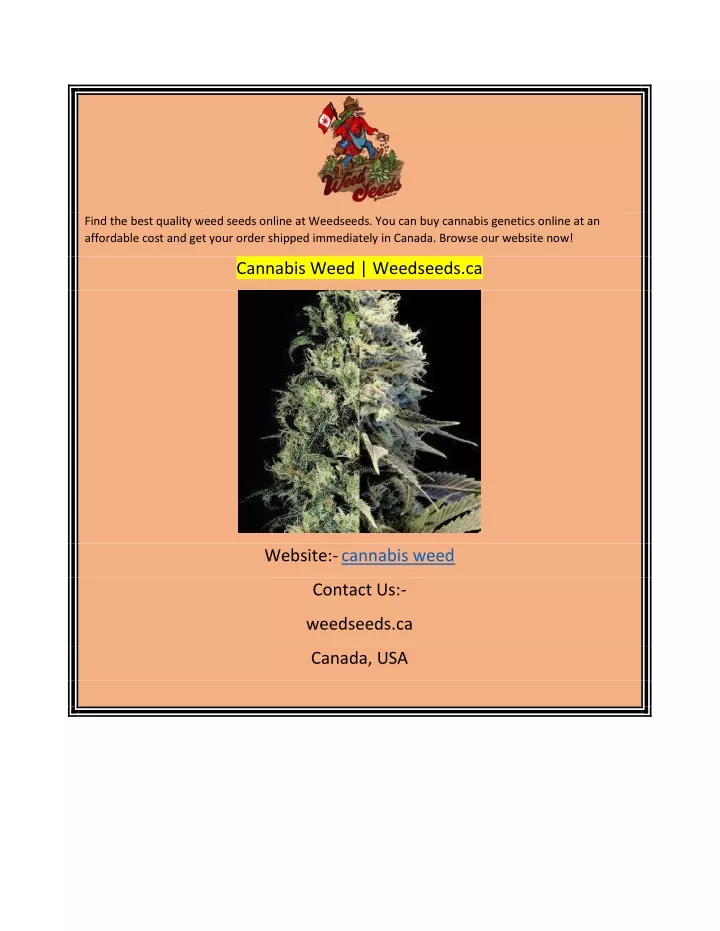 find the best quality weed seeds online