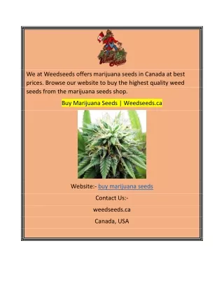 Buy Marijuana Seeds  Weedseeds.ca