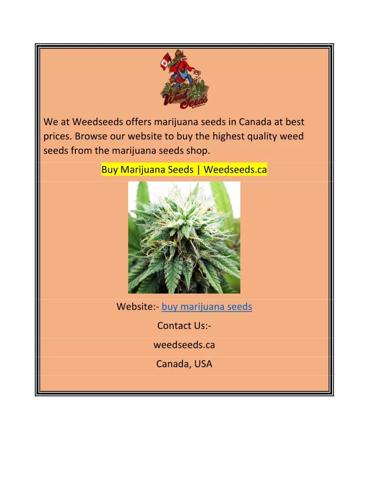 we at weedseeds offers marijuana seeds in canada