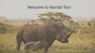 Nairobi tour