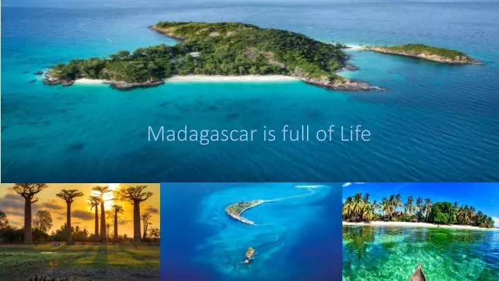 madagascar is full of life