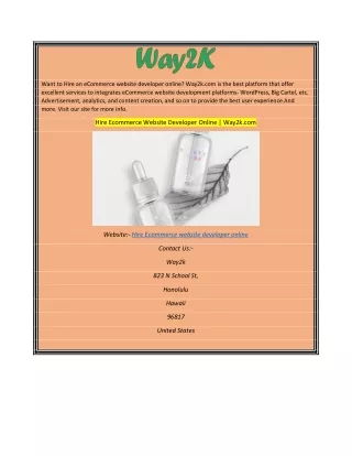 Hire Ecommerce Website Developer Online Way2k.com