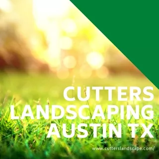 cutters austin tx www cutterslandscape com