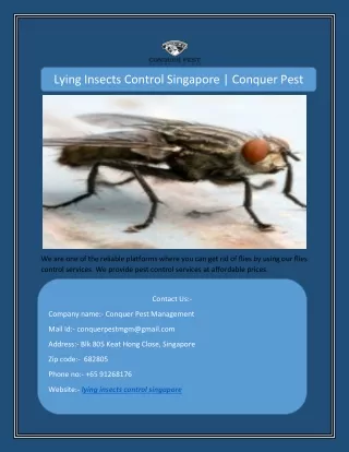 lying insects control singapore conquer pest