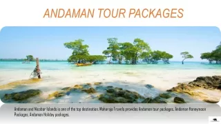 andaman tour packages