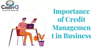 importance of credit management in business