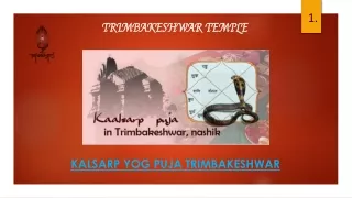 kalsarp yog puja trimbakeshwar