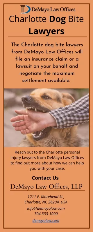Charlotte Dog Bite Lawyers