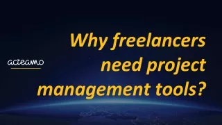 why freelancers need project management tools