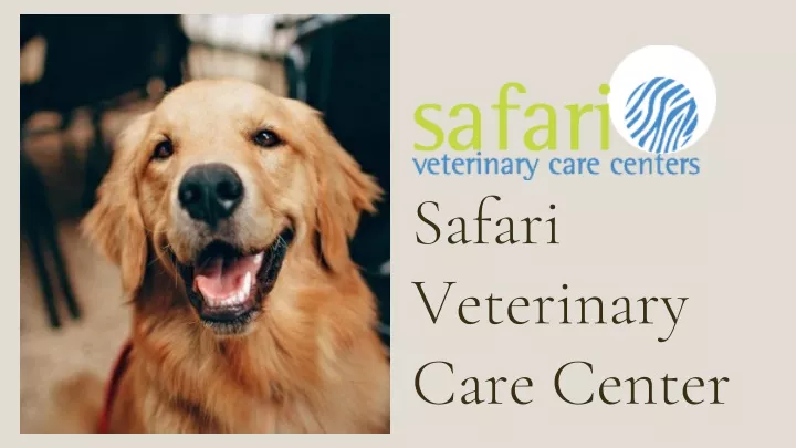 safari veterinary care center
