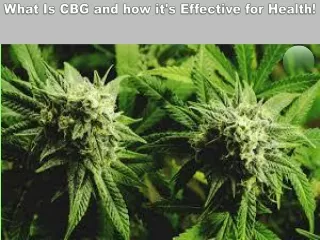 What Is CBG and how it's Effective for Health!