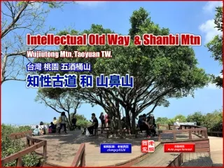 intellectual old way shanbi mtn wujiutong
