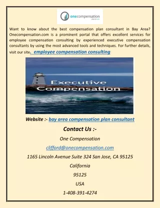 bay area compensation plan consultant as