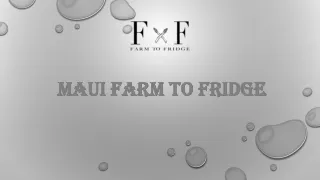 maui farm to fridge maui farm to fridge