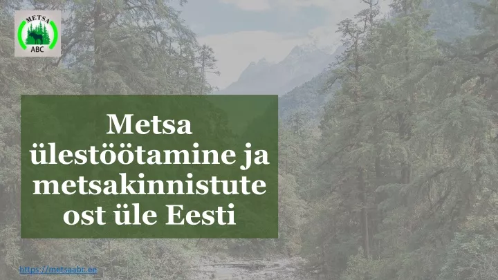 metsa lest tamine ja metsakinnistute ost le eesti