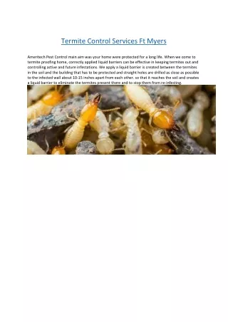 termite control services ft myers