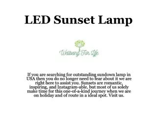 LED Sunset Lamp | Well Being