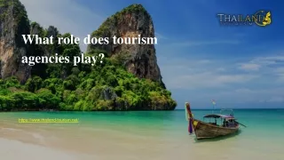 What role does the tourism agencies play