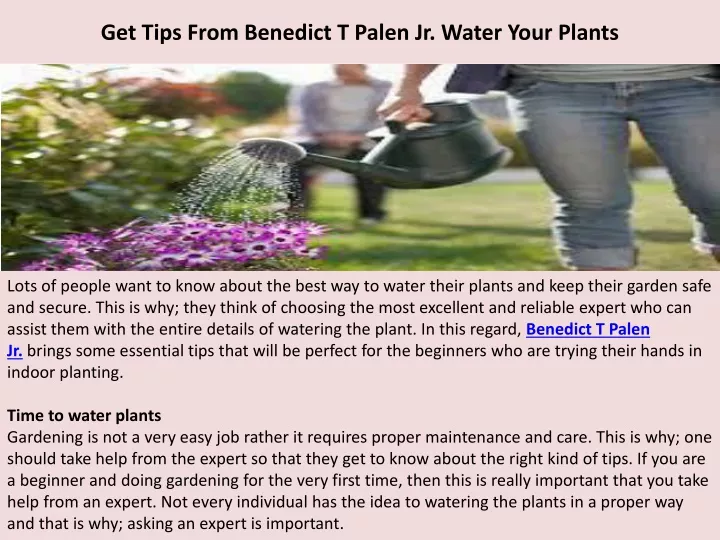 get tips from benedict t palen jr water your plants