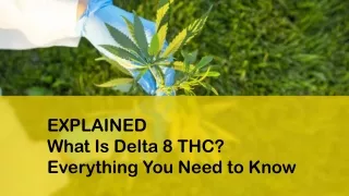 explained what is delta 8 thc everything you need