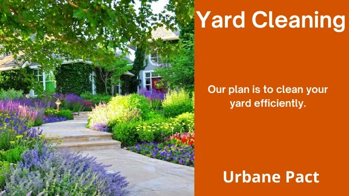 yard cleaning
