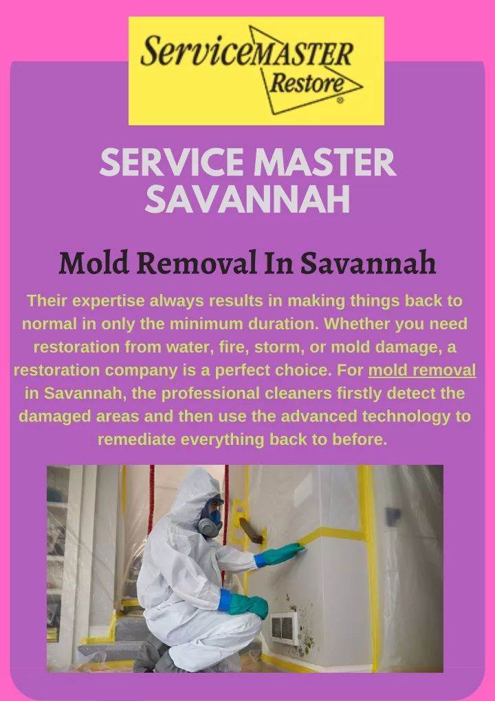 service master savannah mold removal in savannah