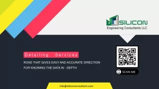 Silicon Consultant Detailing Services