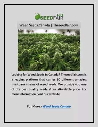 Weed Seeds Canada | Theseedfair.com