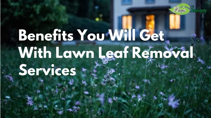 benefits you will get with lawn leaf removal