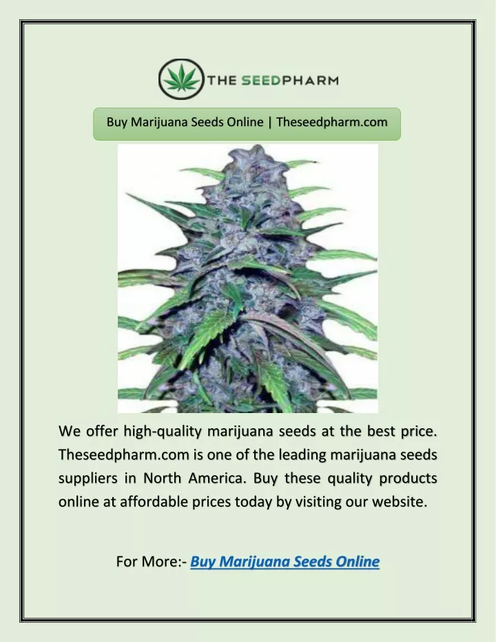 buy marijuana seeds online theseedpharm com