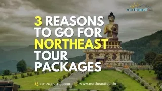 3 Reasons to Go for Northeast Tour Packages